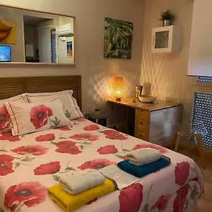 Meuble Tourisme Carmes 2 Etoiles, Entree Autonome,wifi, Climatise, Petit Parking Prive Toulouse